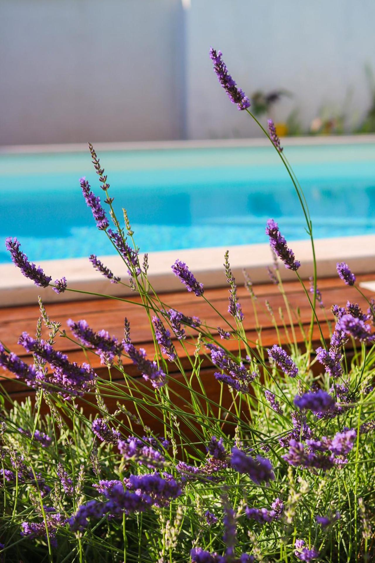 Villa My Rose With A Private Pool Млини Екстериор снимка